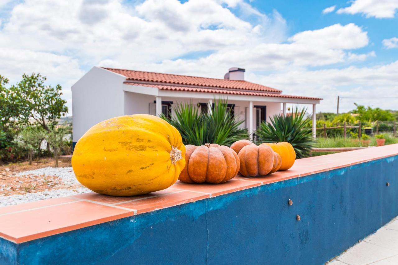 Monte Da Cabeca Gorda Bed and Breakfast Alcáçovas Eksteriør billede